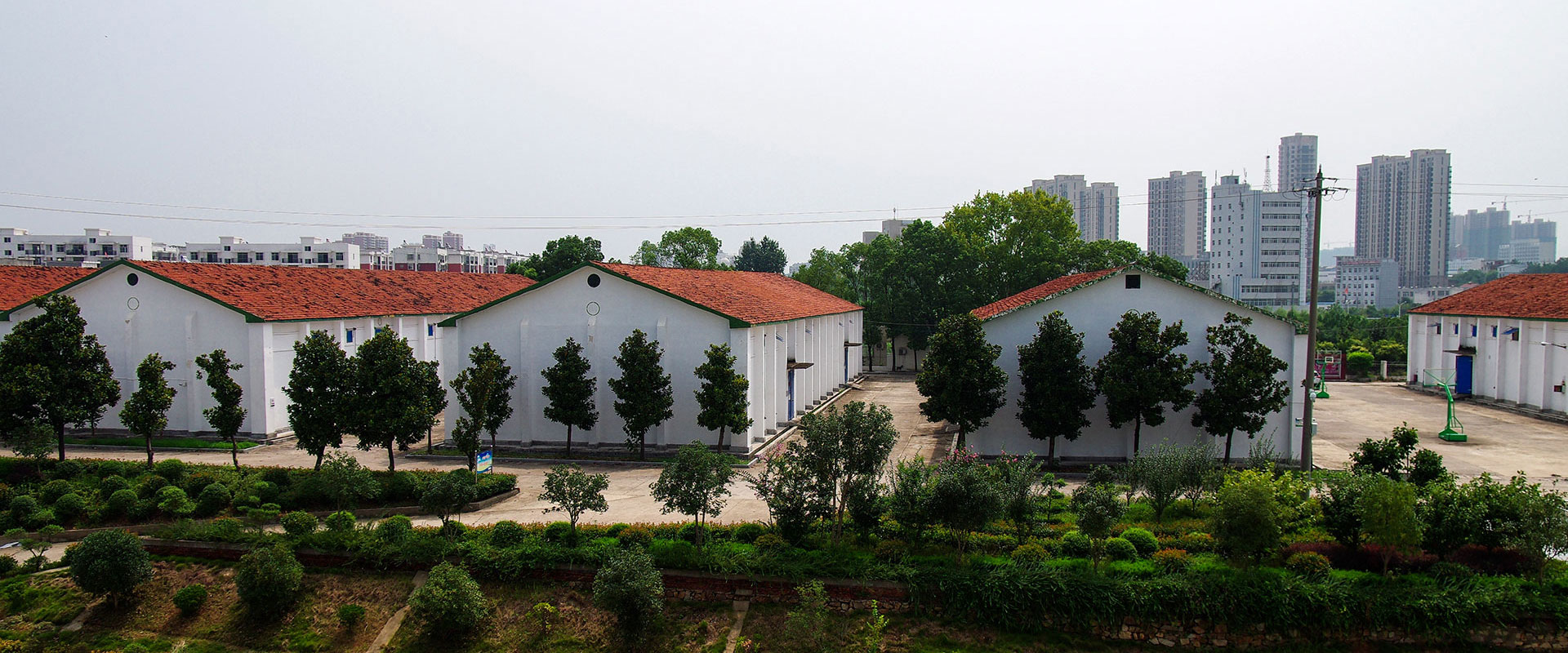 麻城金豐農業(yè)